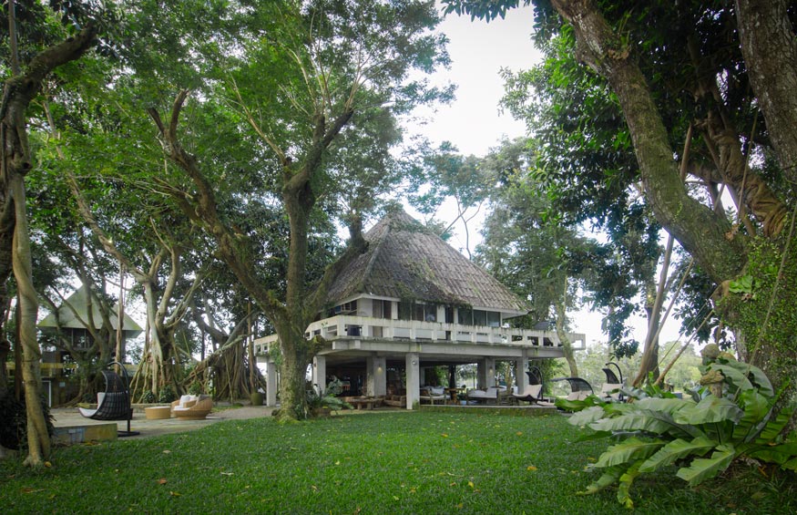 Punong main house