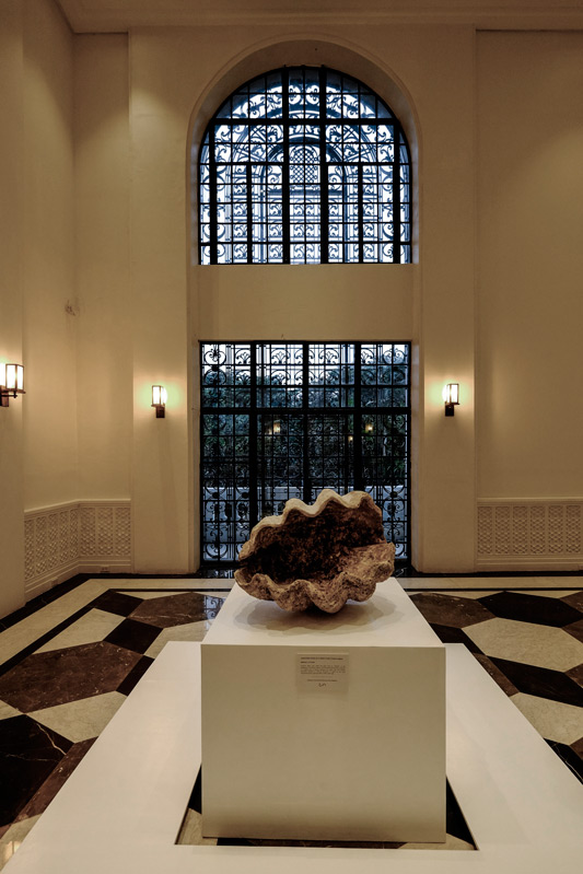 National Museum of Natural History Ayala Room