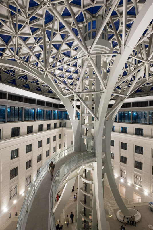 National Museum of Natural History