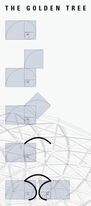 To imbue the DNA Tree of Life with the same beauty found in nature, its geometry and proportions were generated from the golden ratio.