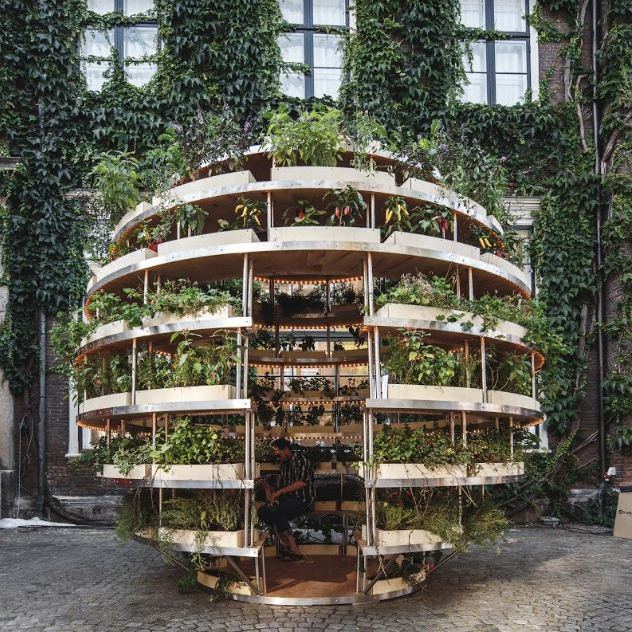 The Growroom at CHART Art Fair 2016