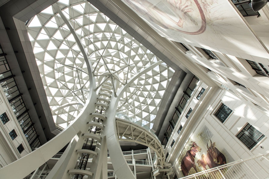 National Museum of Natural History Tree of Life