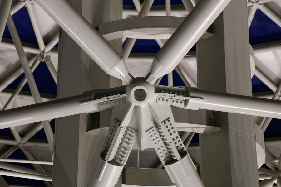 National Museum of Natural History Tree of Life