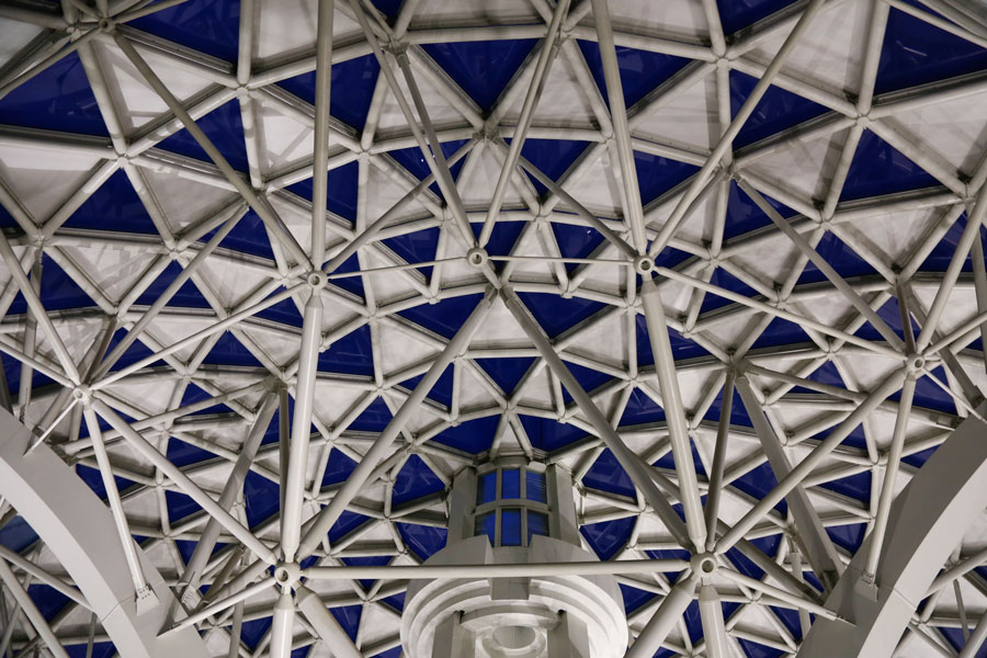 National Museum of Natural History Tree of Life