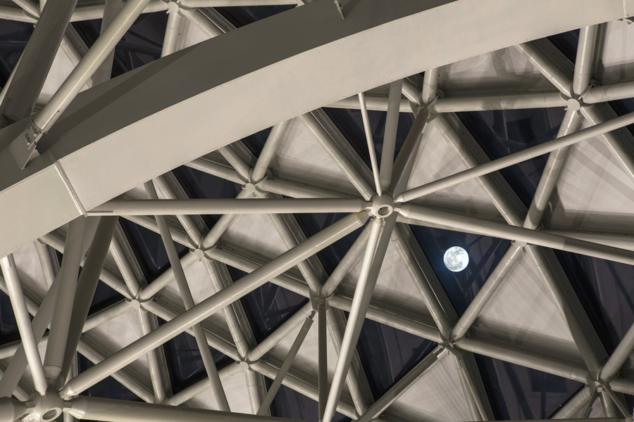 National Museum of Natural History Tree of Life