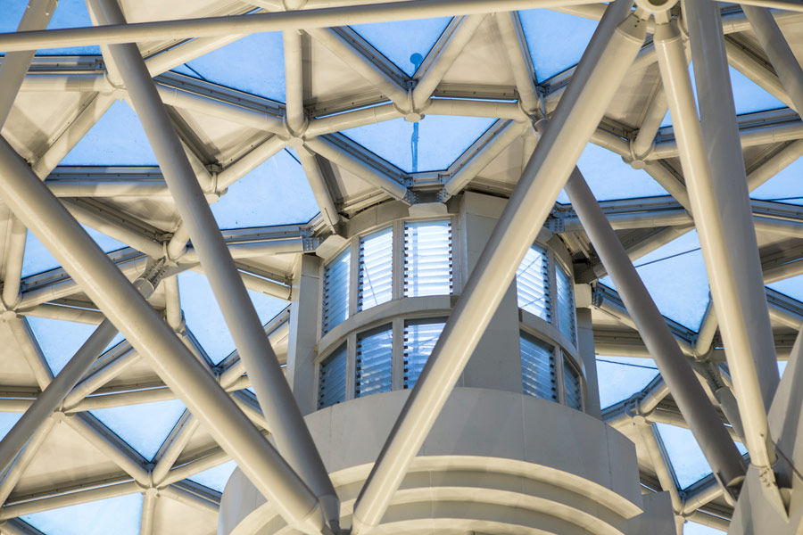 National Museum of Natural History Tree of Life