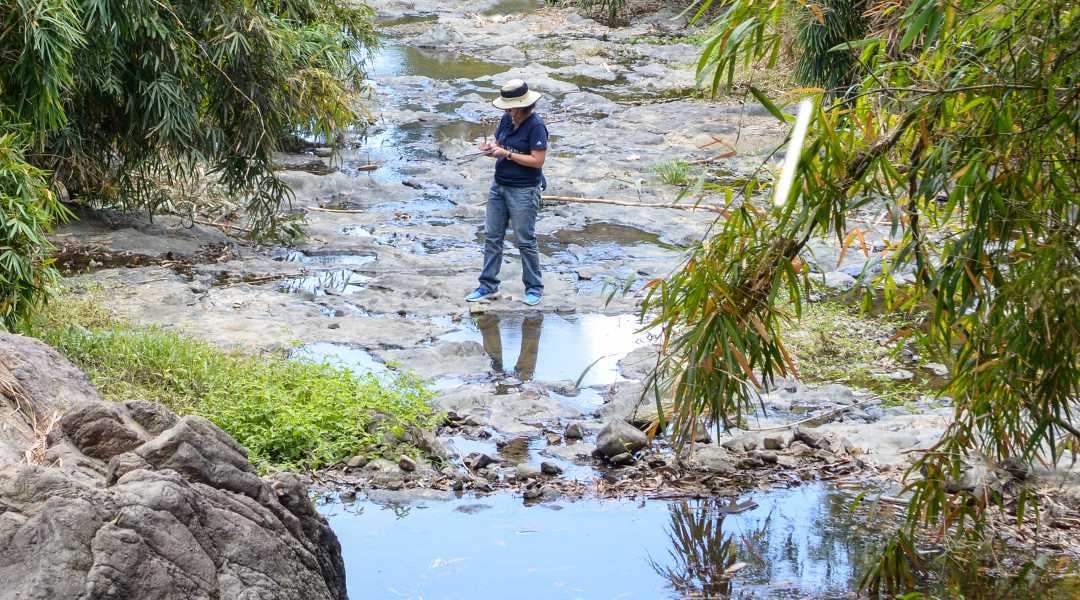 metaphysical site analysis feat