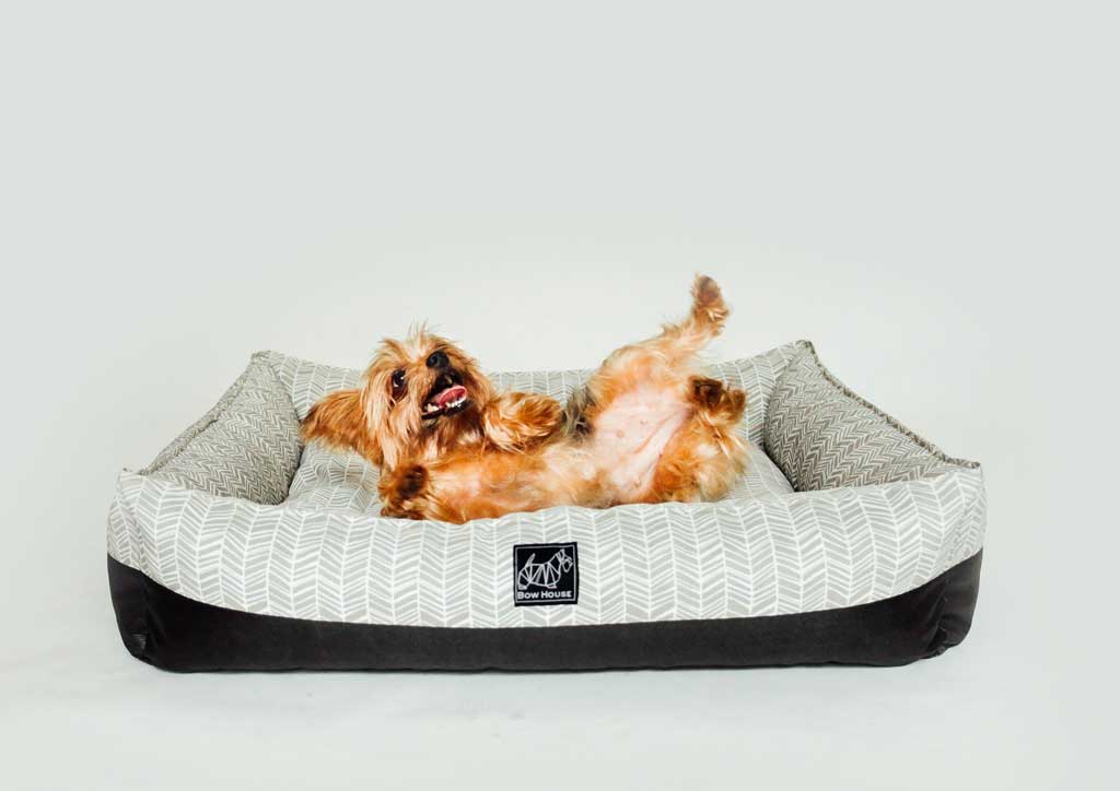 pet Bed, ped beds, meow house, bow house, meowhouse.ph, bowhouse.ph