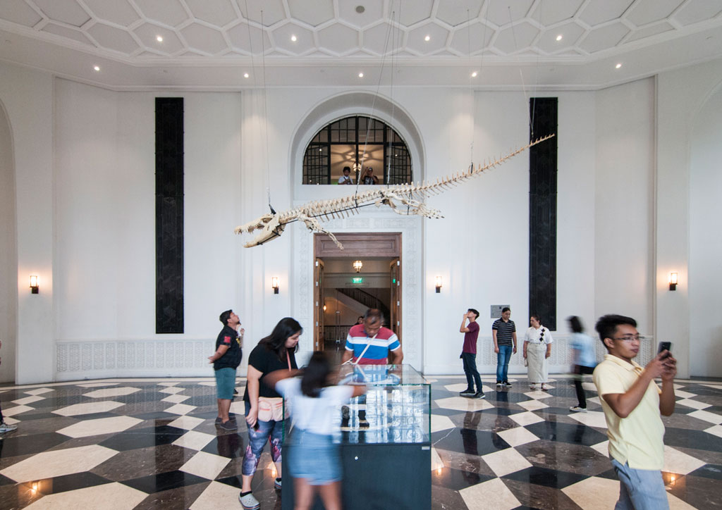 national museum of natural history bluprint