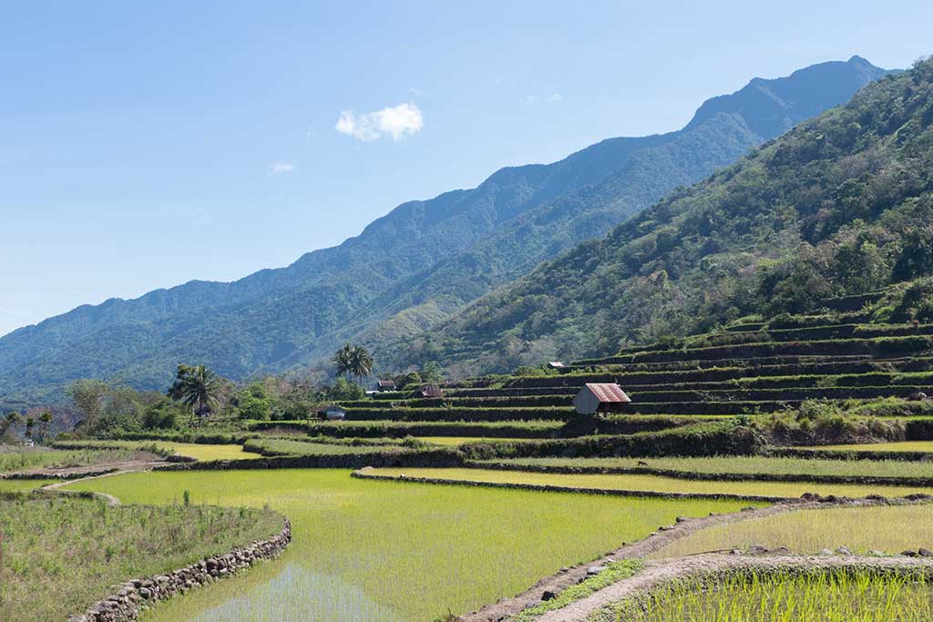 bluprint design heritage kalinga village trix rosen