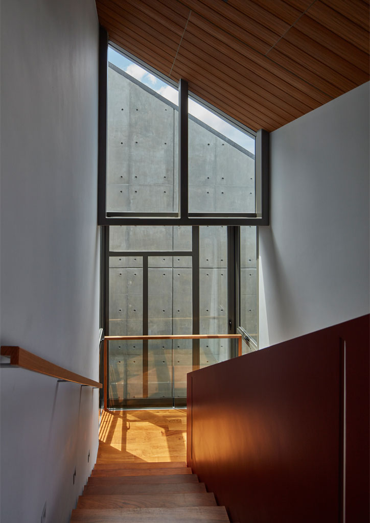 bluprint architecture RT+Q Architects terrace house