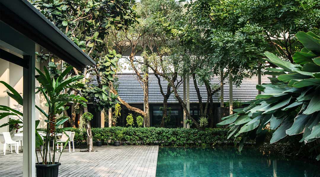 Tan tik lam PH House