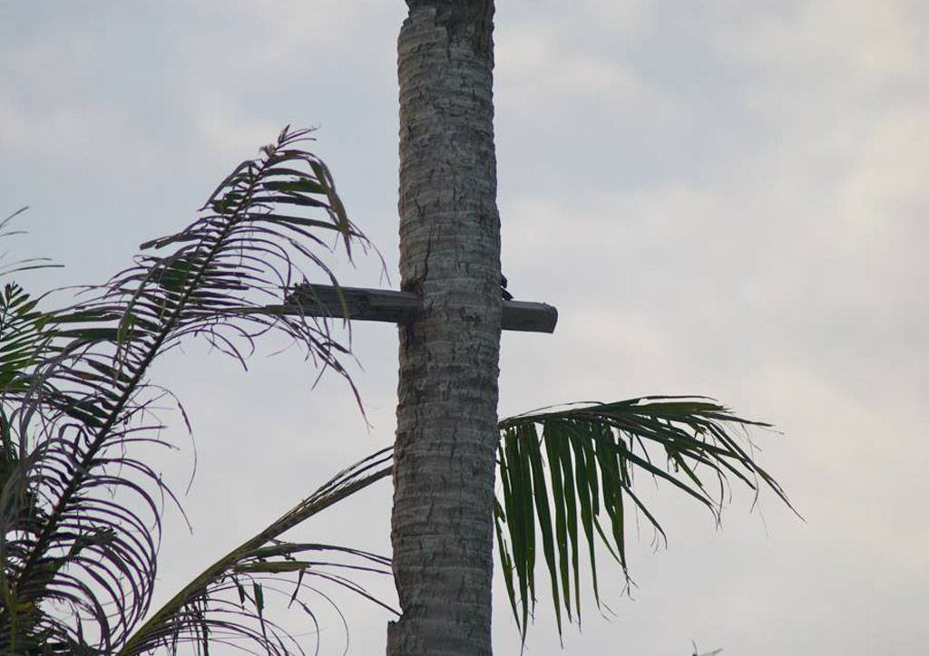 bluprint planning coastal hazards guiuan haiyan disaster