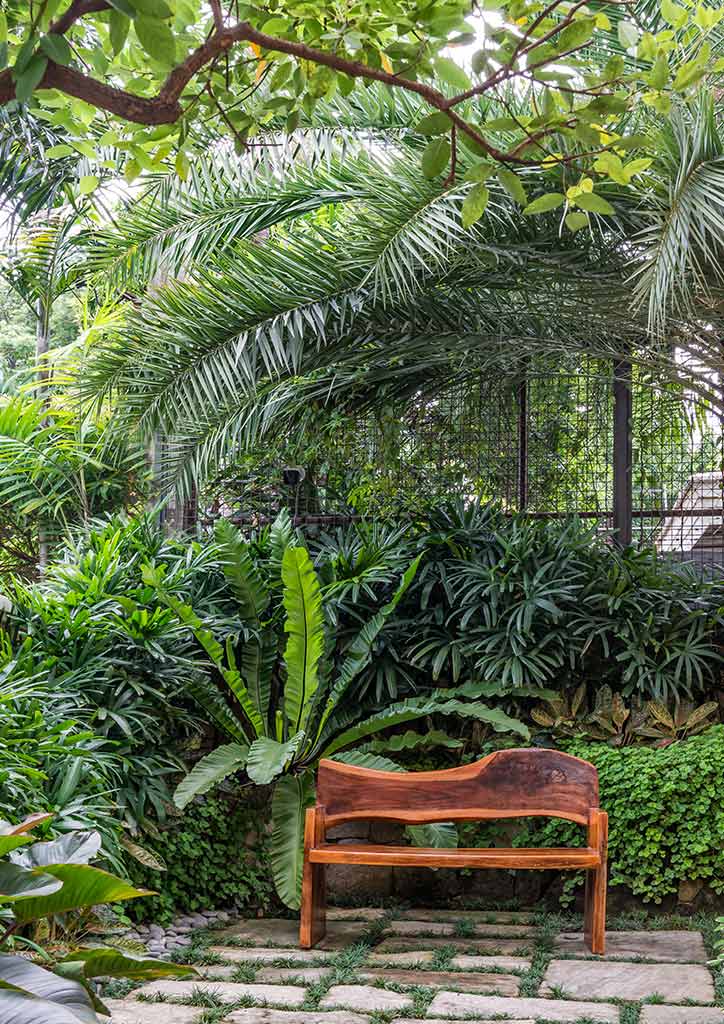garden
