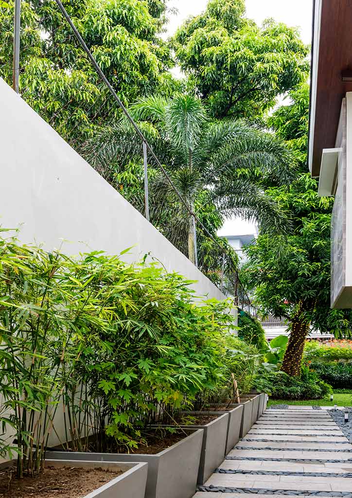 garden