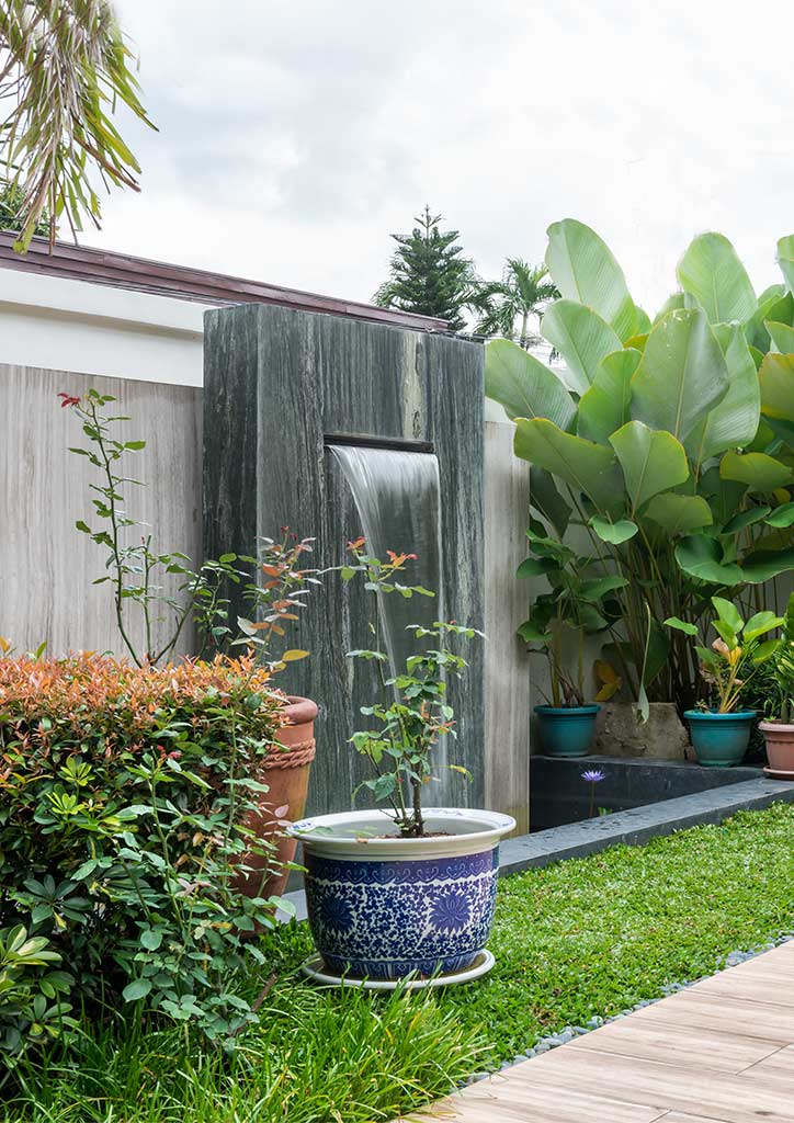 garden