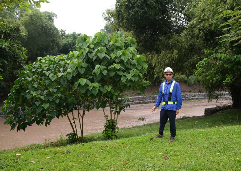 bluprint planning new clark city sports complex river park bcda president vince dizon