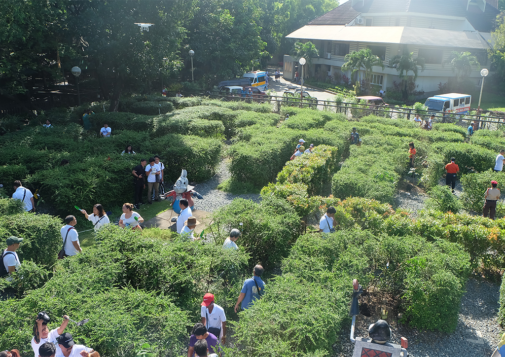 planting - green city