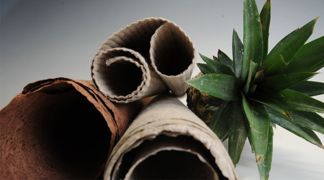 bluprint design center of the philippines pinyapel d&ad future impact awards 2019