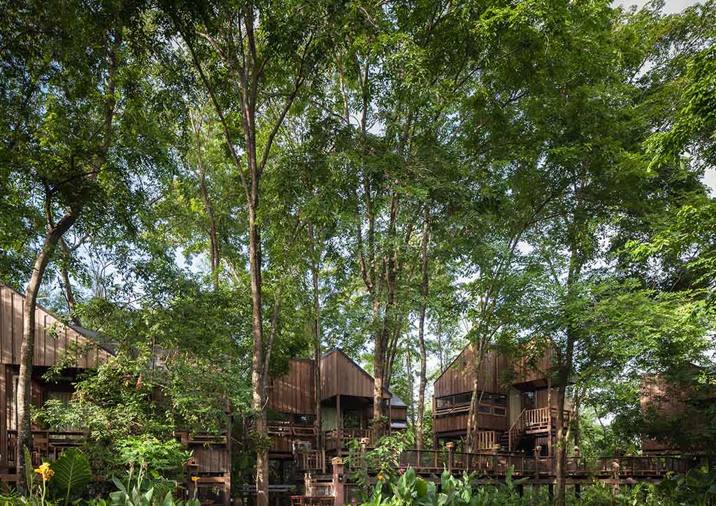 Ketsiree Wongwan - Forest House