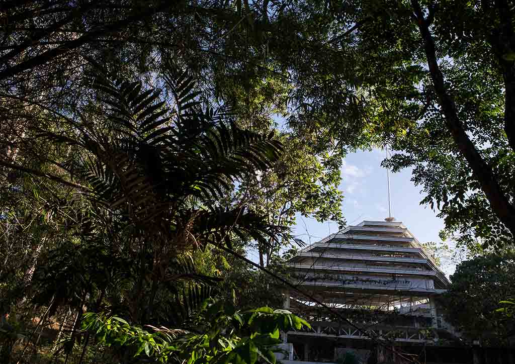 church of the immaculate heart of mary