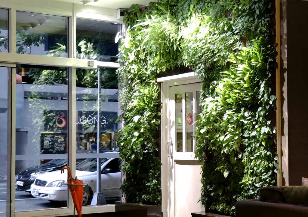 Where To Put Indoor Plants In Small Spaces.