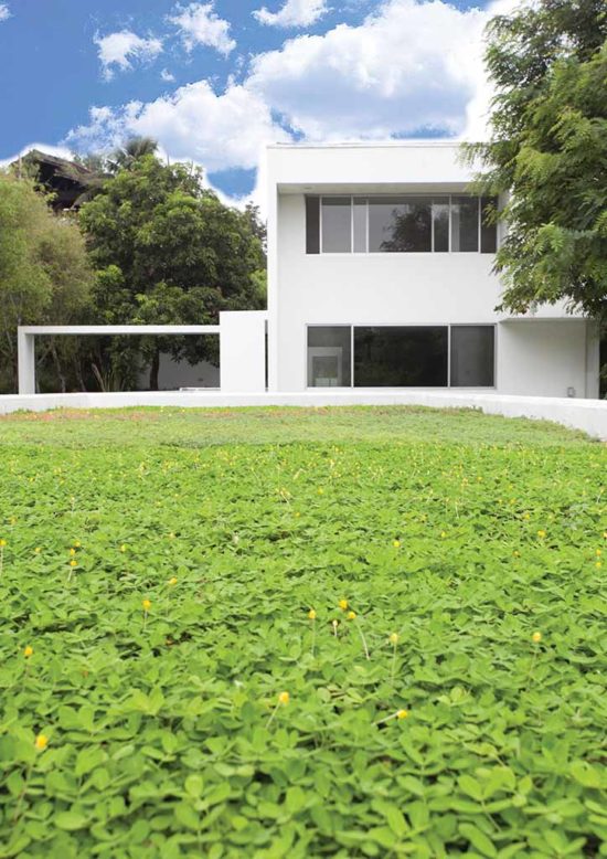 Ed Calma Modernizes a Spanish Colonial Style House