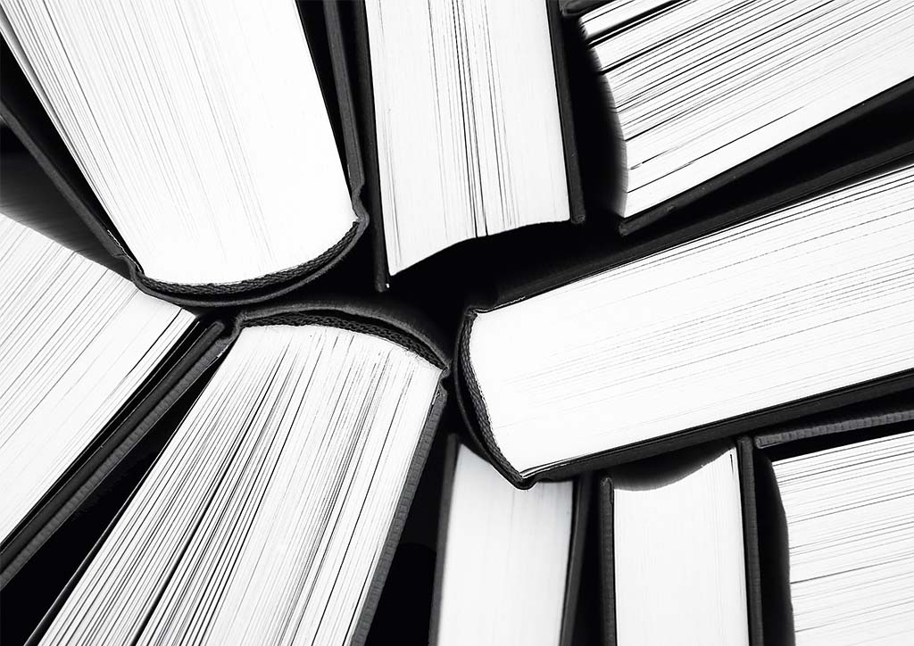 BluPrint Architecture Education Dan Lichauco Specialization