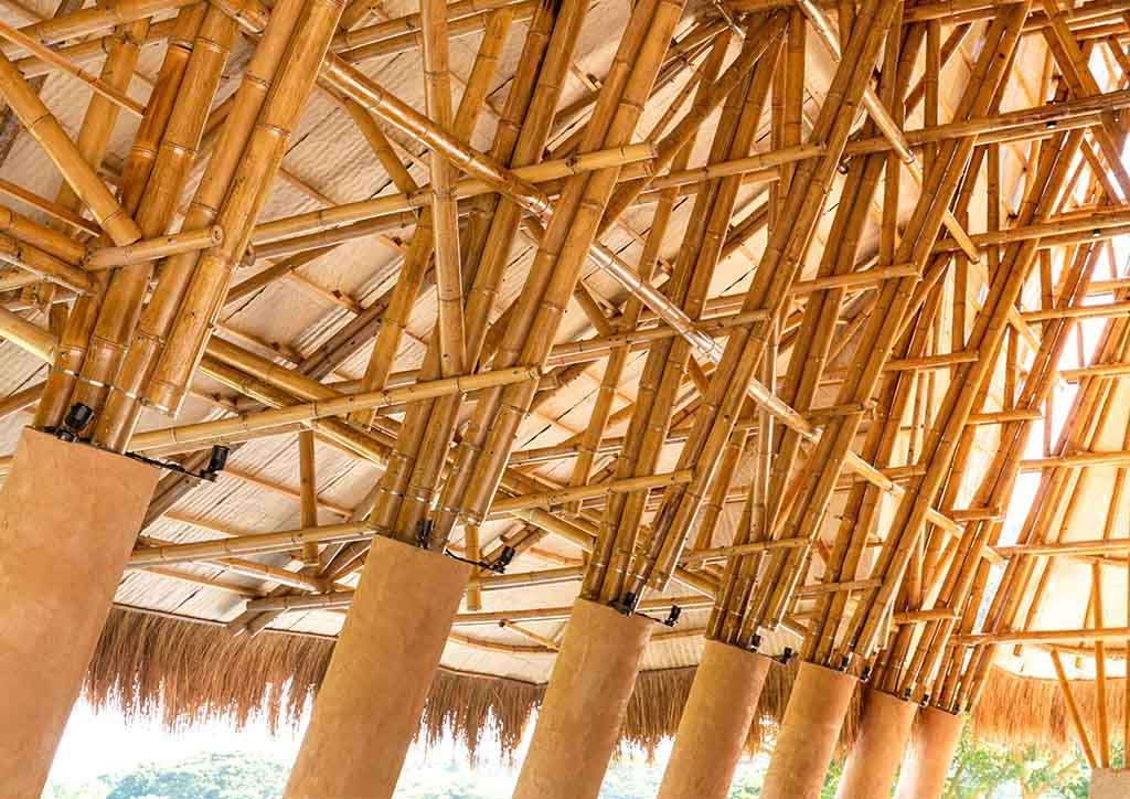 BluPrint Project Submission MLR Polo Pavilion Sangay Architects