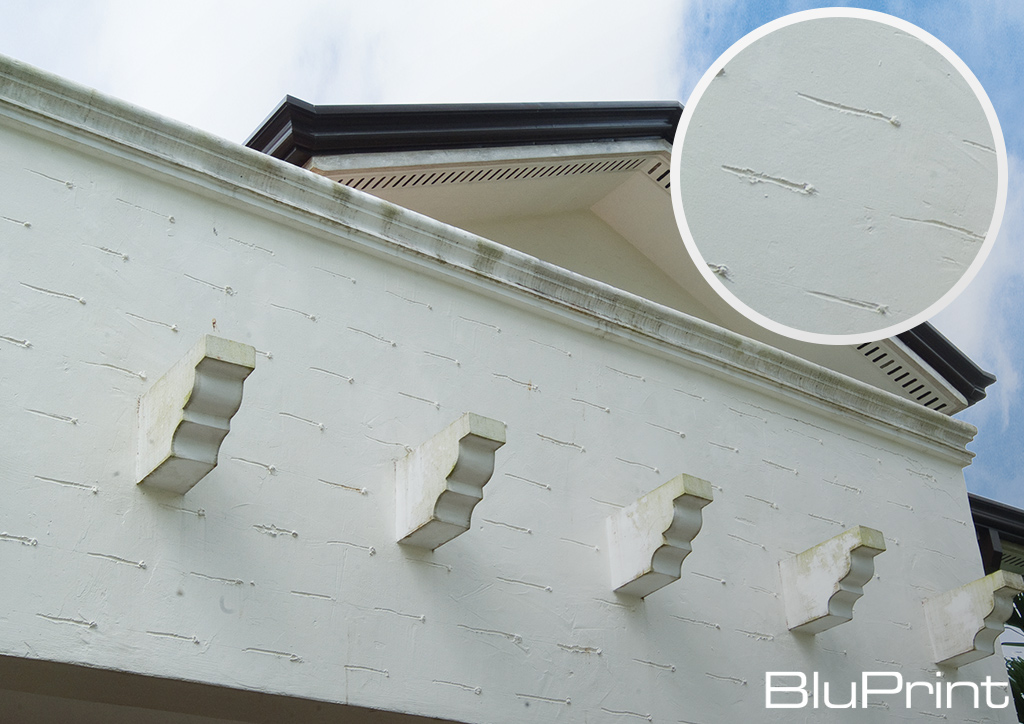 BluPrint Architecture What Were They Thinking House Design Disasters
