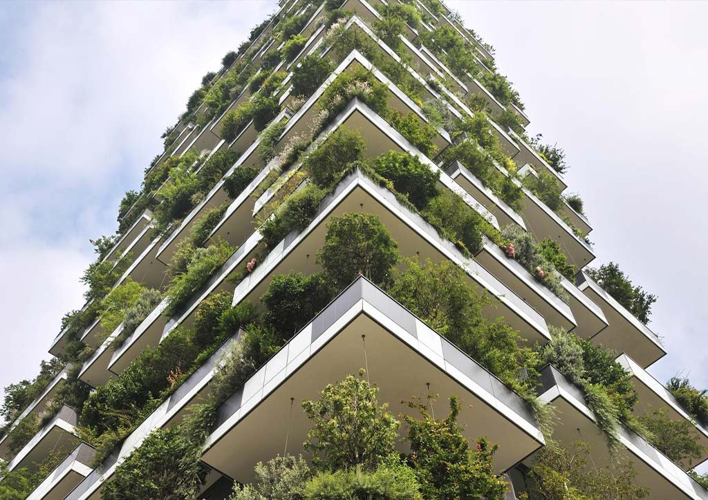 organic architecture