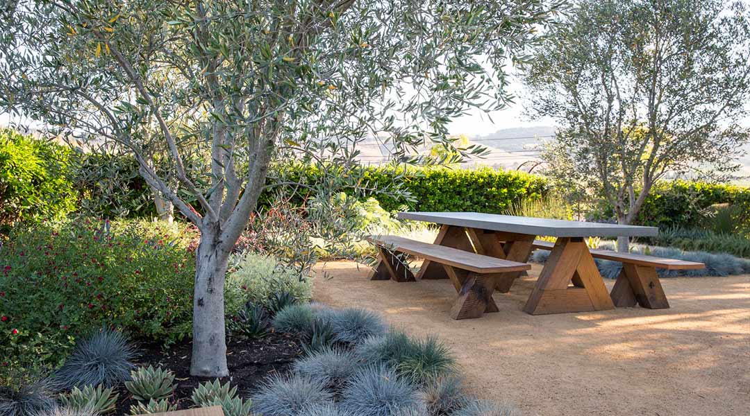 Landscape architecture