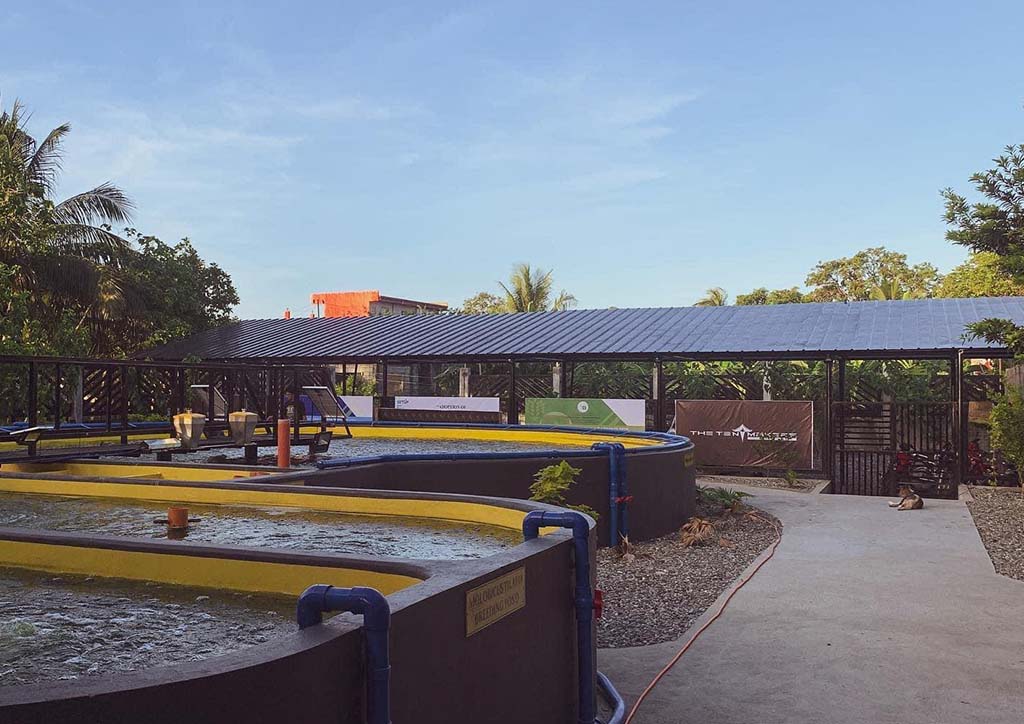 View of the prototype fish farm