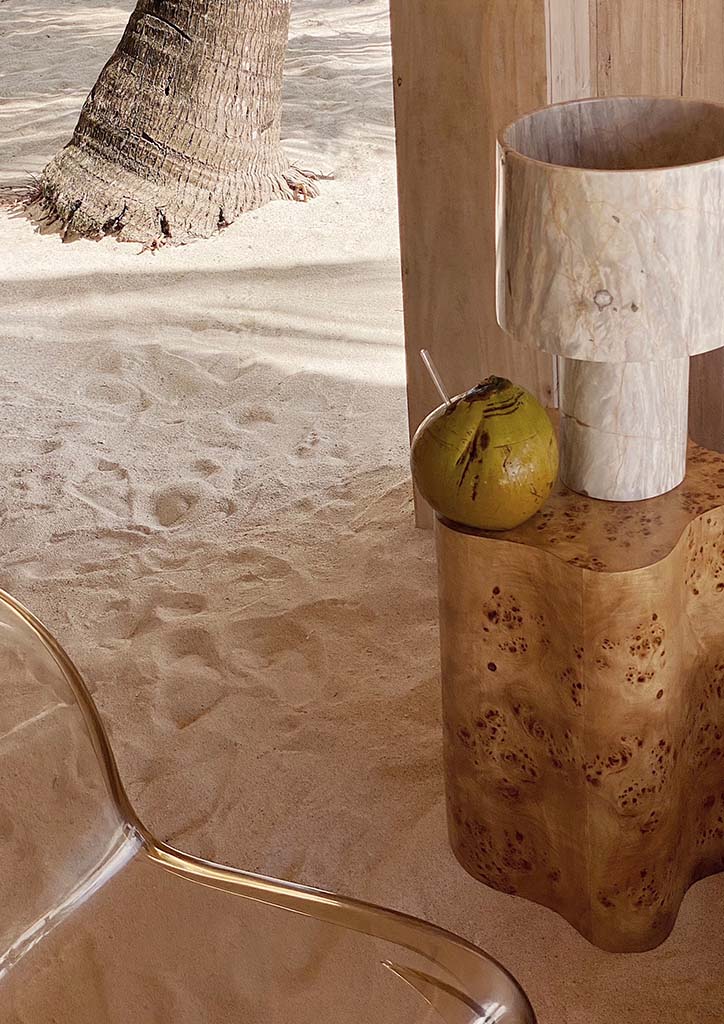 BP 2021 Website-In-Article Photo (Vianca Soleil)28 - BluPrint