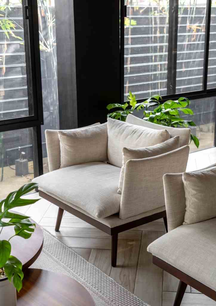 Close up of modern fabric armchair surrounded by plants