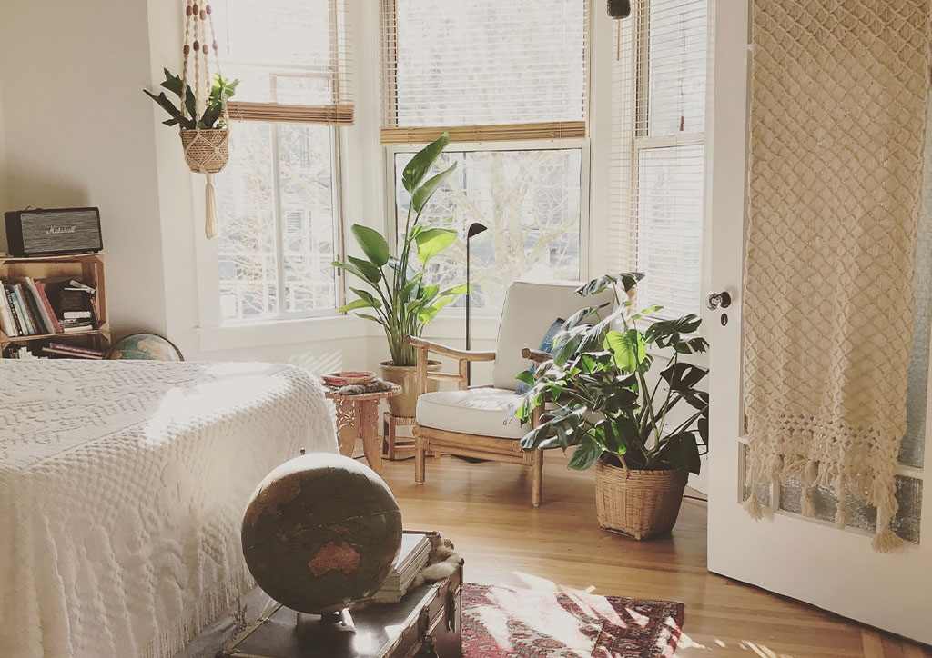 Best Natural Ways to Improve Air Quality in Your City Home.