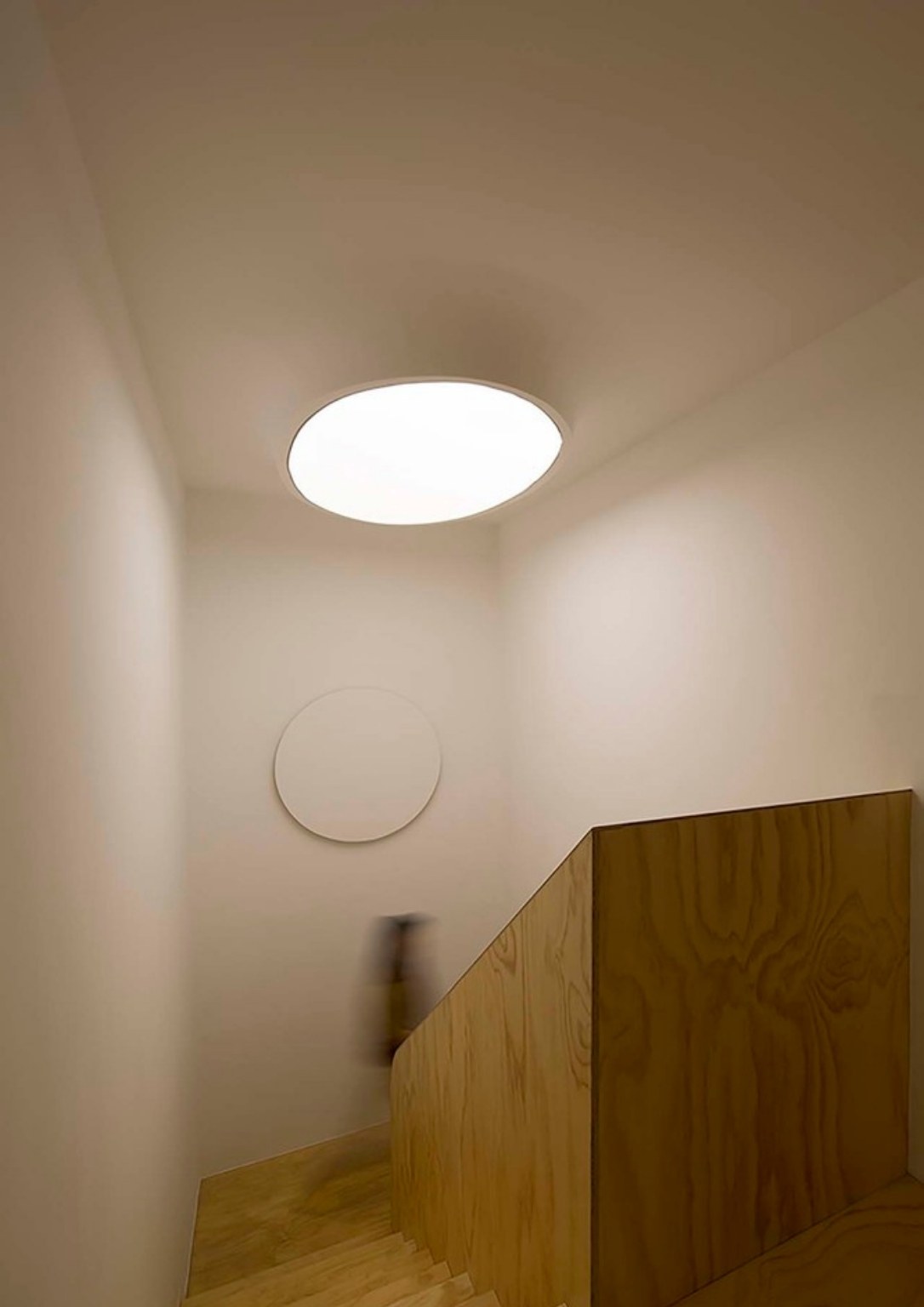 BP 2022 In-Article Photo (Sleeping lab arch_portrait) (4) - BluPrint