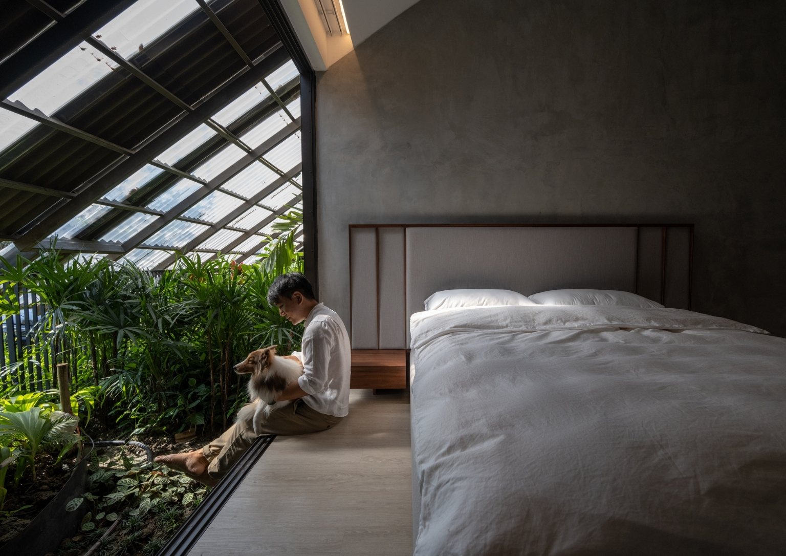 Barkitecture Is the Trending Pet-Friendly Home Design  For Your Dogs.