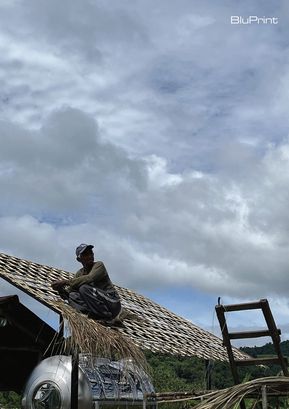 Cogon grass drying process