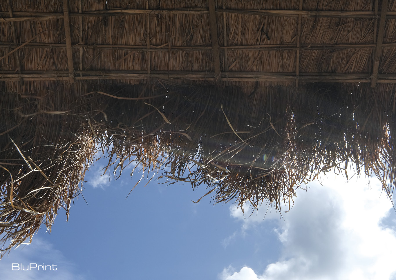 modern nipa hut thatched roof