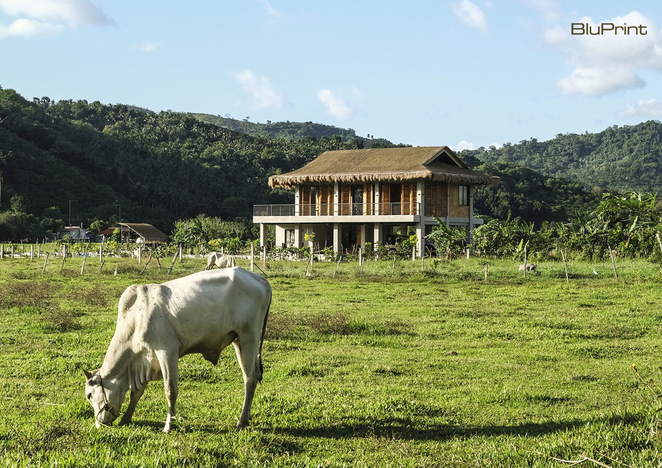 Modern Bahay Kubo Exterior