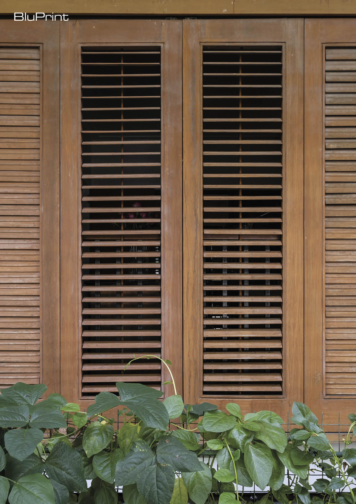Slatted wooden window shutters