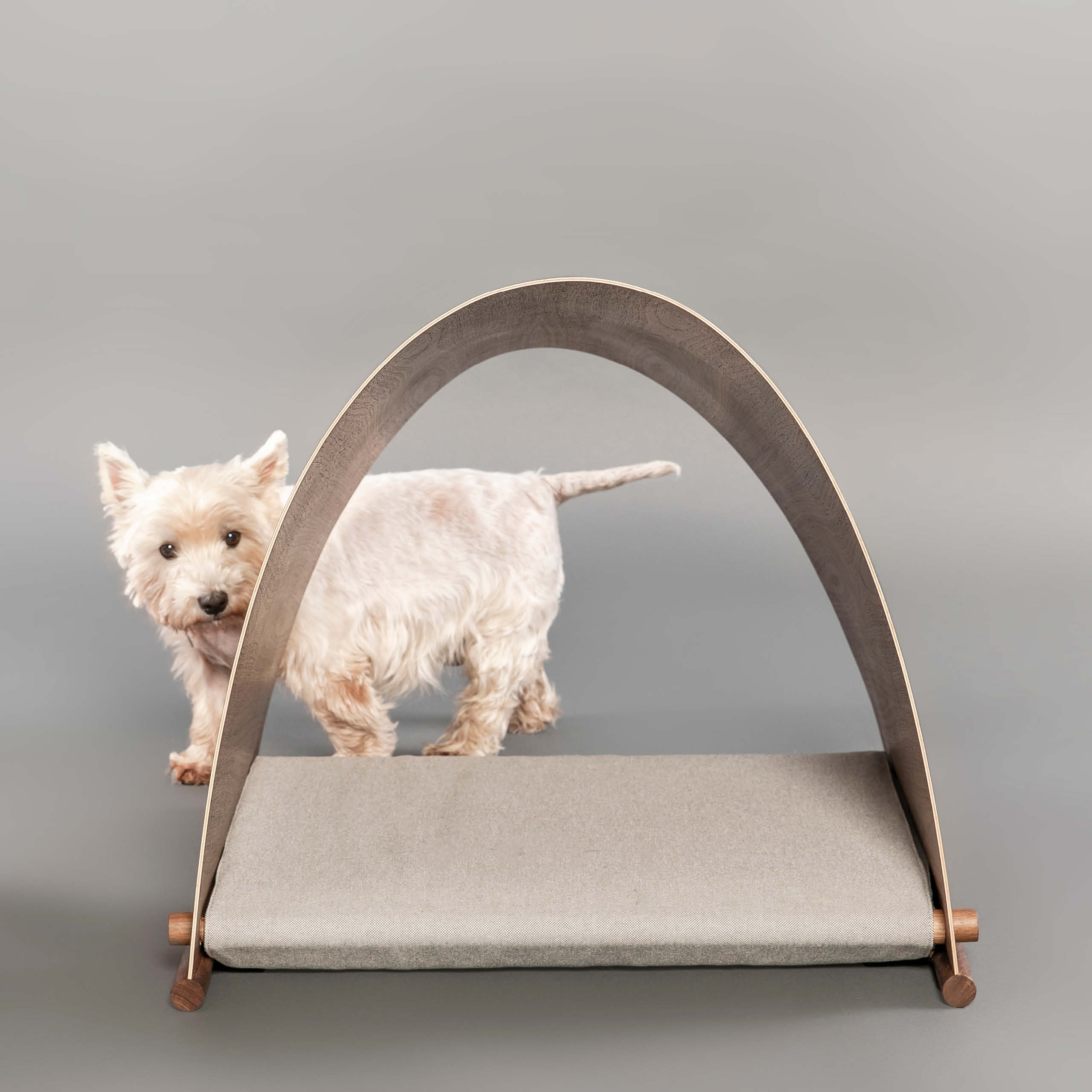 Kennel Design for the Barc dog kennel by Fosters + Partners for Barkitecture Charity Auction, UK. Image from Fosters + Partners 