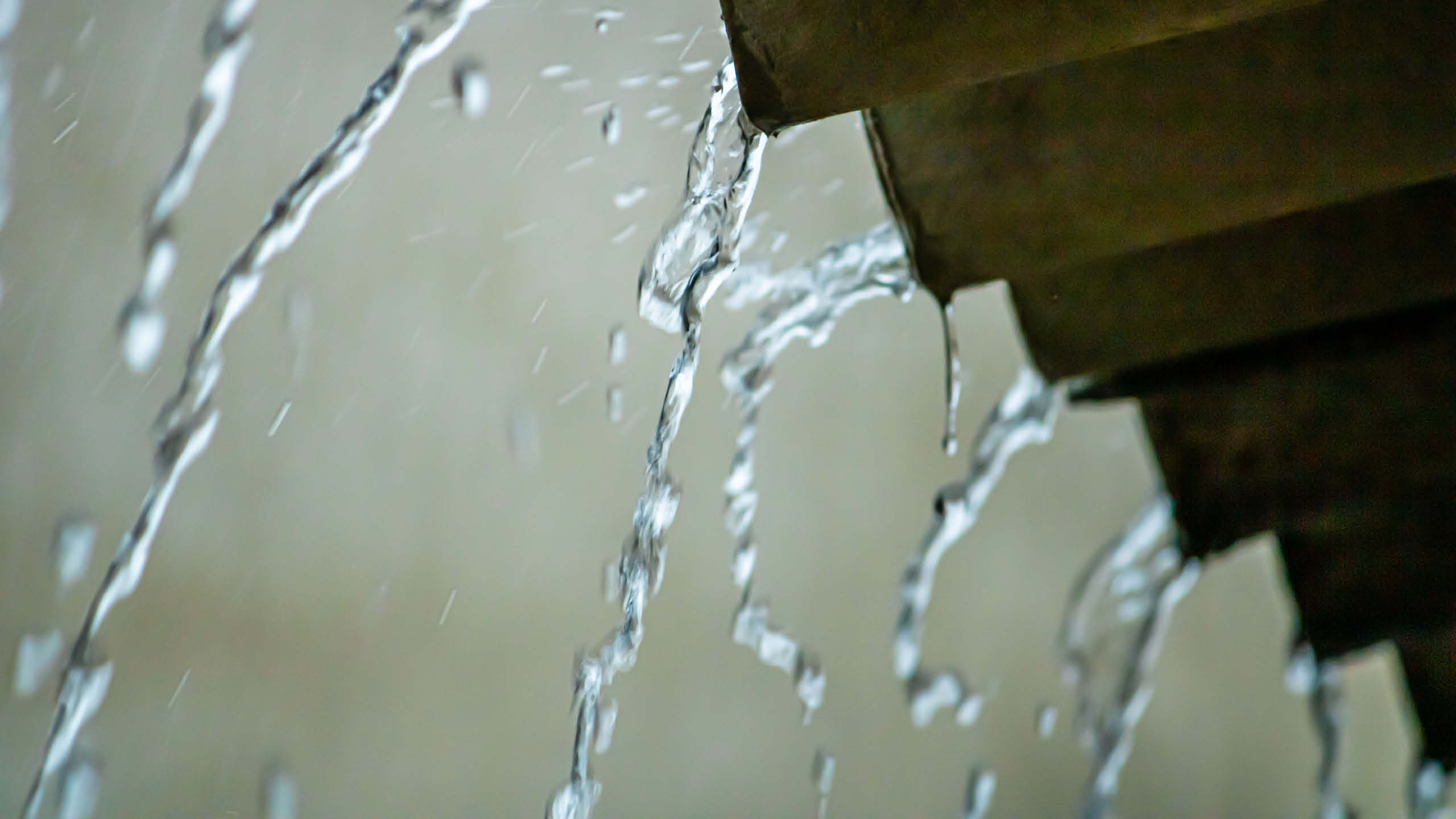 Typhoon Proofing: How to Make Your Home Safe during Storms.