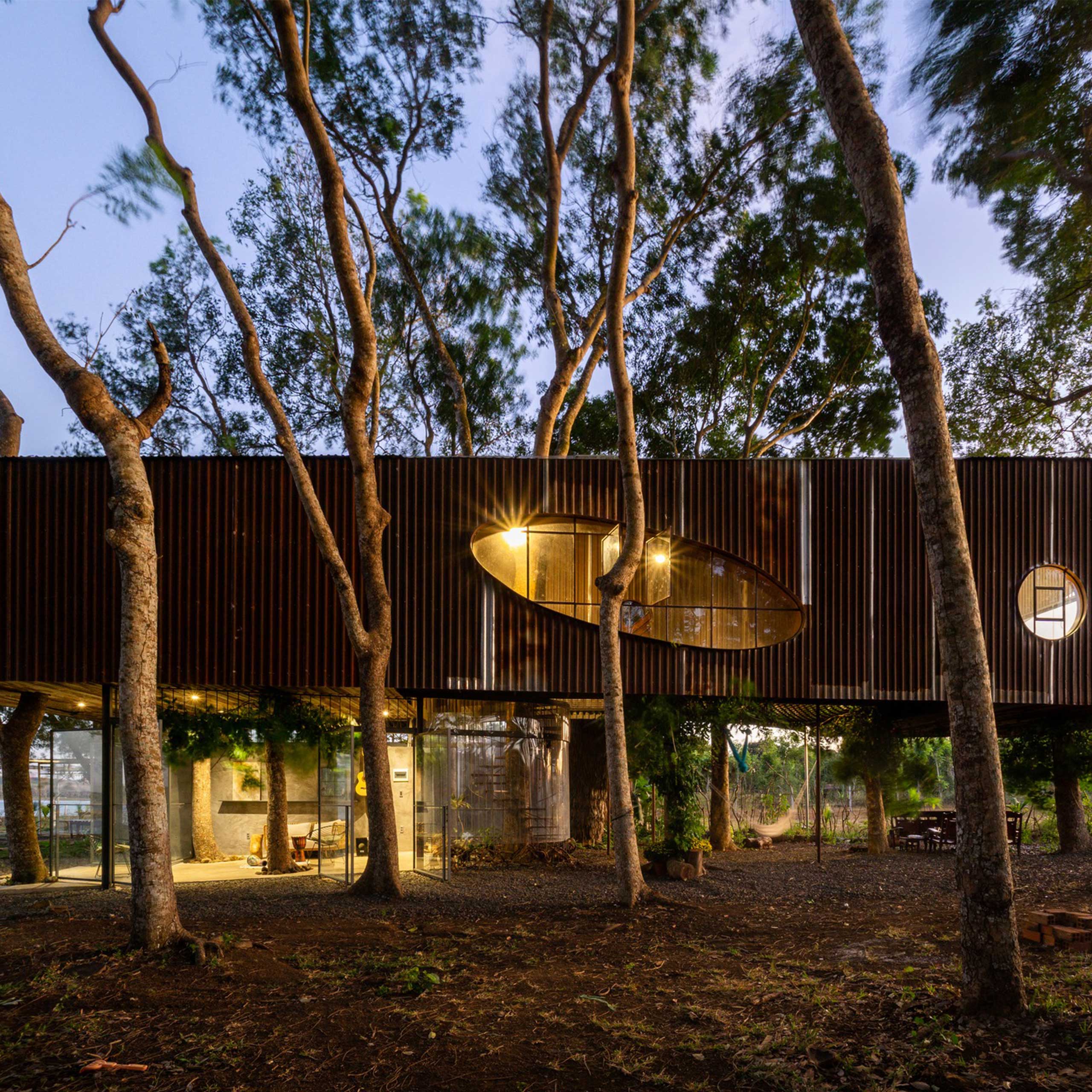 A elongated tree house with an oblong window surrounded by tall narrow trees.