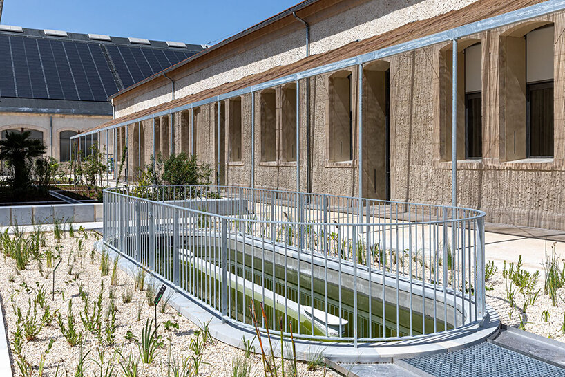 phyto-purification basin, Atelier LUMA garden, LUMA Arles, France _ image © Adrian Deweerdt - BluPrint