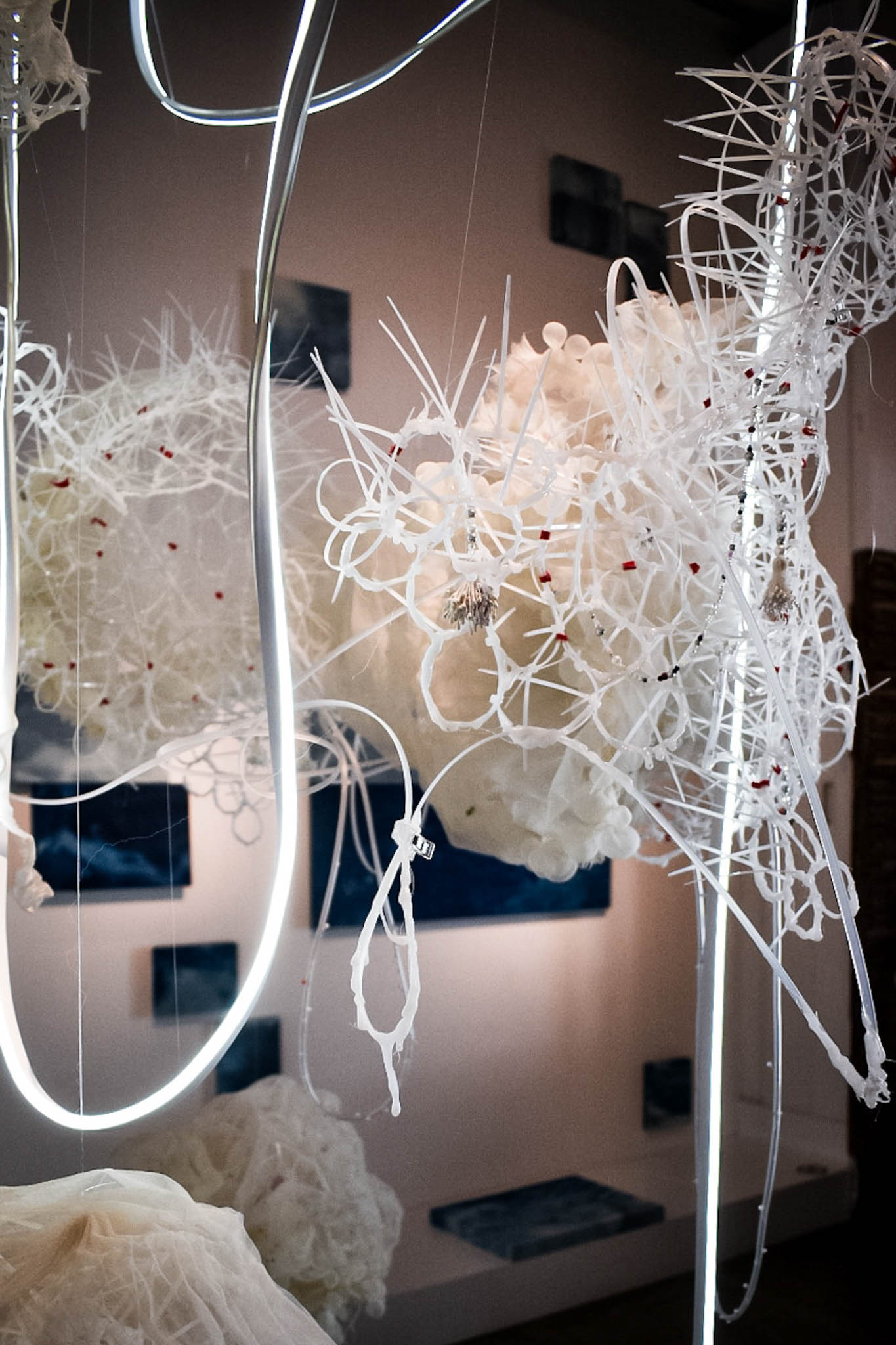 Kelli Maeshiro's "Fly and never come down"