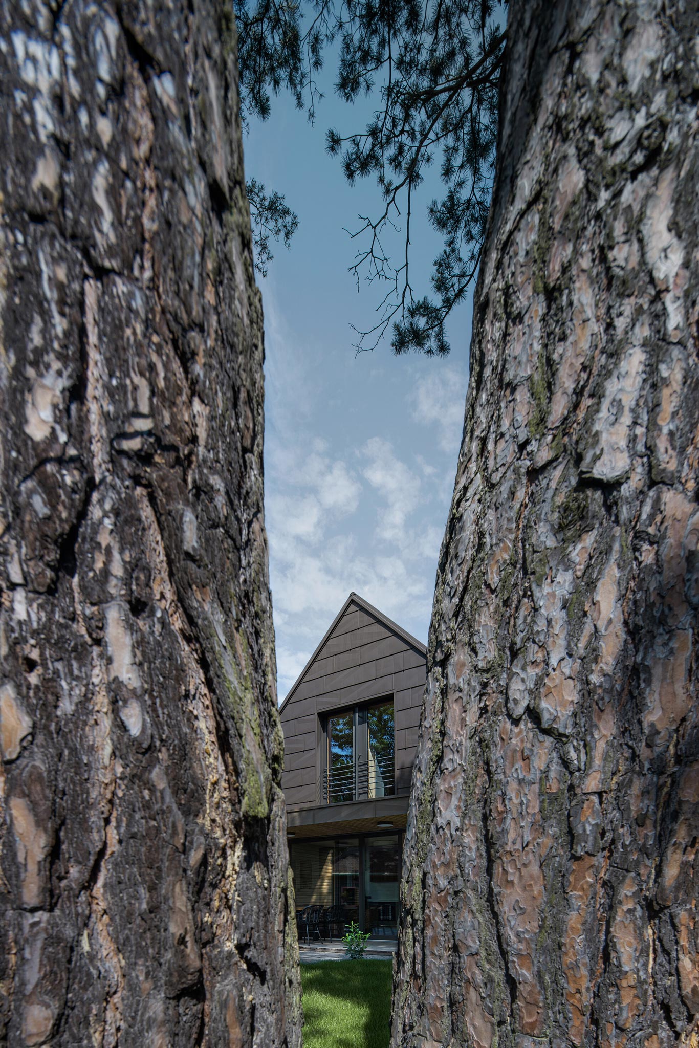 exterior shot of the cabin