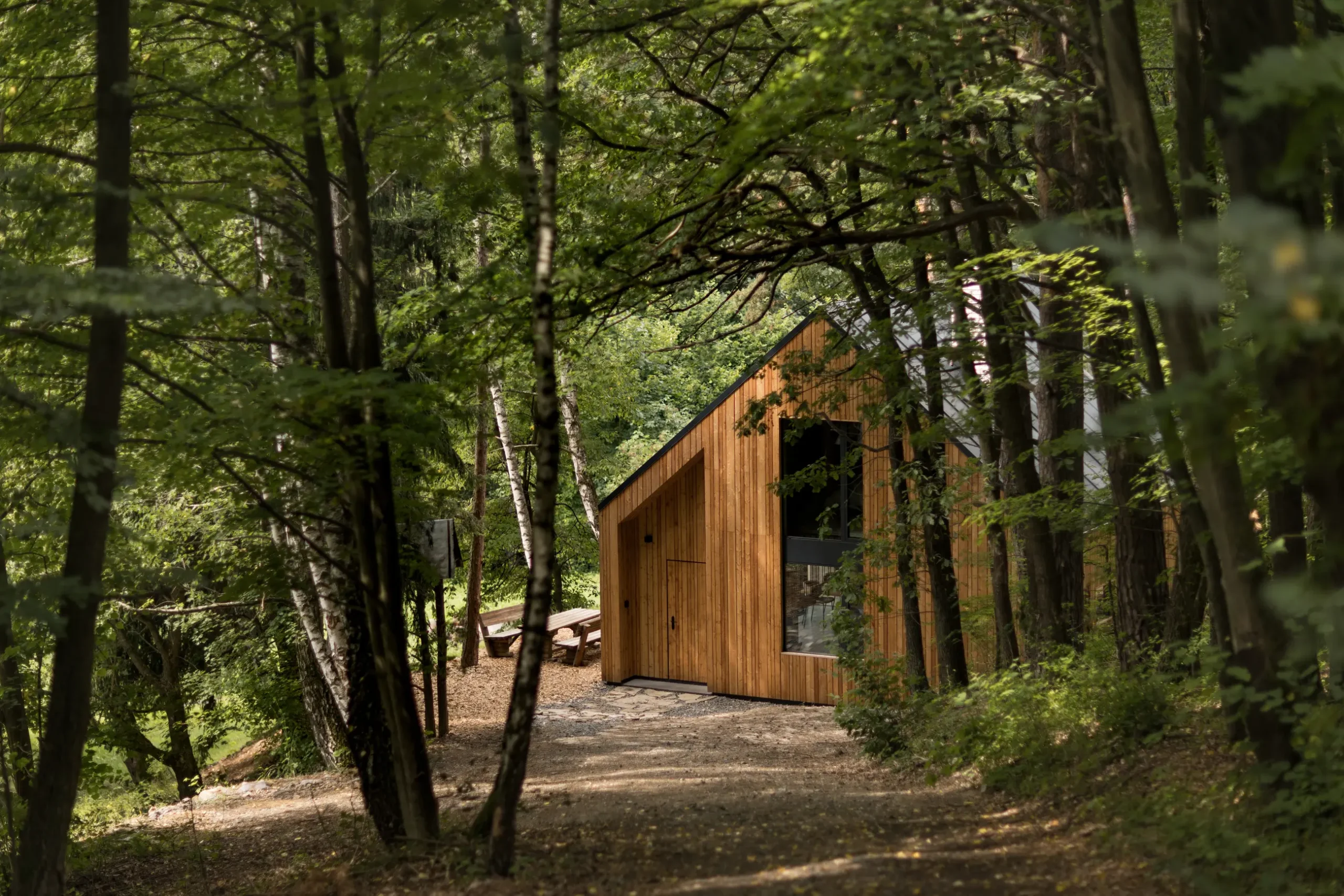 Modern Cabin