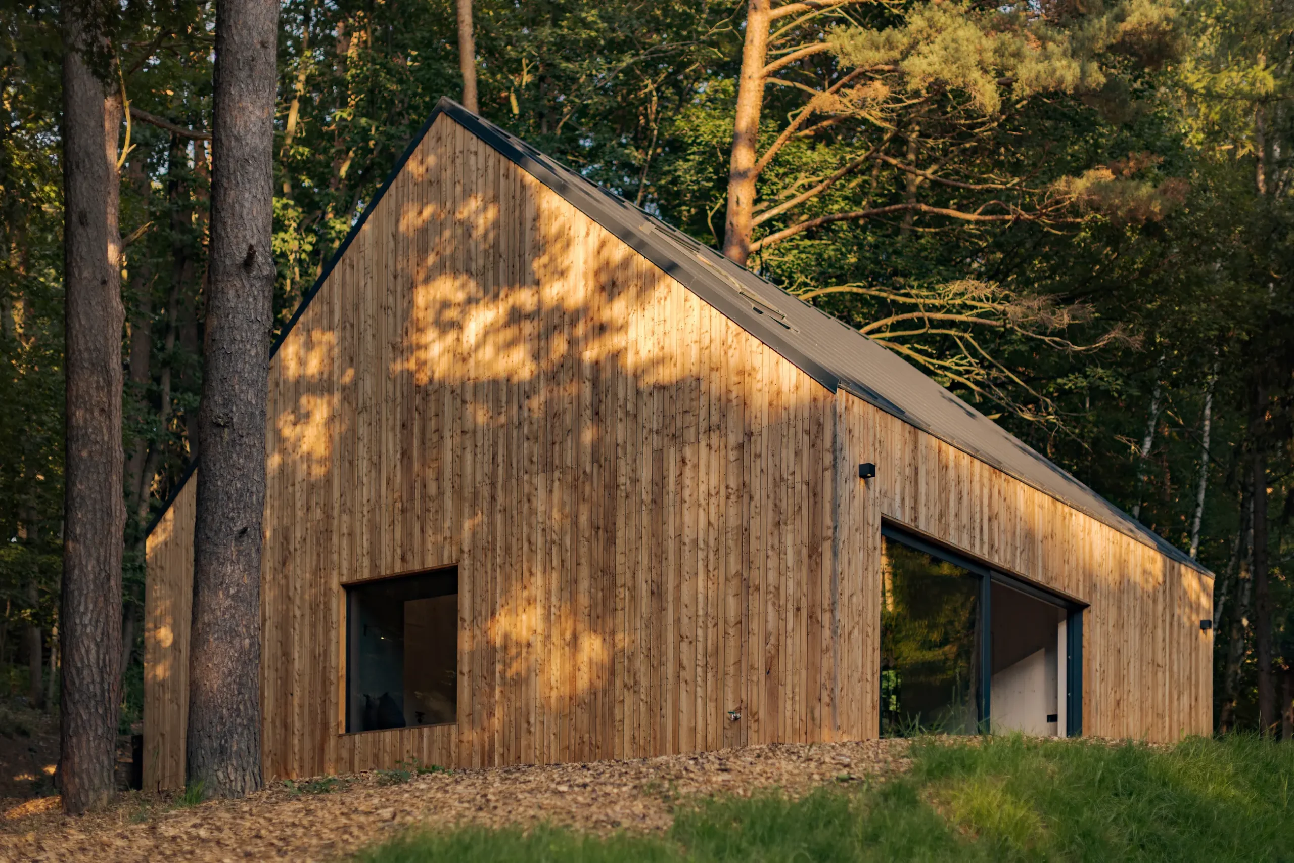 Cabin in the woods